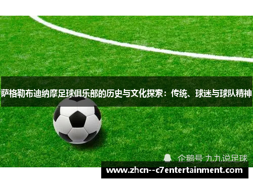 萨格勒布迪纳摩足球俱乐部的历史与文化探索：传统、球迷与球队精神
