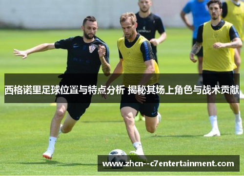 西格诺里足球位置与特点分析 揭秘其场上角色与战术贡献 西格诺里足球位置与特点分析 揭秘其场上角色与战术贡献
