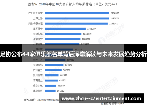 足协公布44家俱乐部名单背后深意解读与未来发展趋势分析