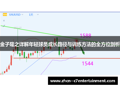 金子隆之详解年轻球员成长路径与训练方法的全方位剖析